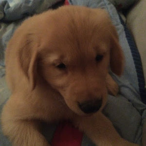 Meet your Posher, Jacob